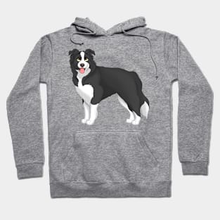 Border Collie Dog Hoodie